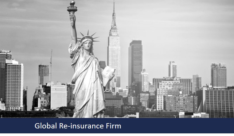 Global Re-insurance Firm